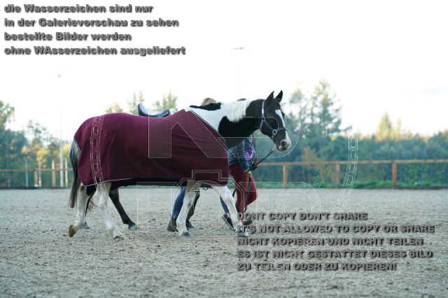 s_K3F09238.JPG